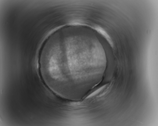 X0000089731376200707201832