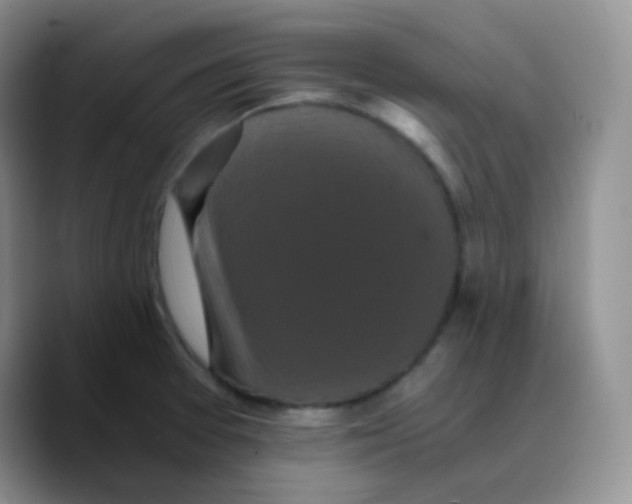X0000089731377200707201832
