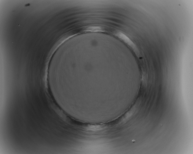 X0000089731378200707201832