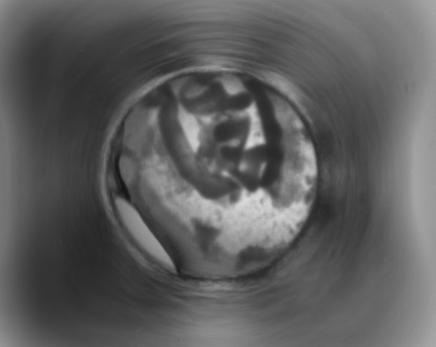 X0000089731379200707201832