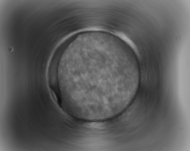 X0000089731380200707201832