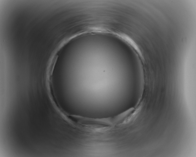 X0000089731381200707201832
