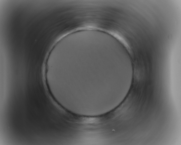 X0000089731382200707201832