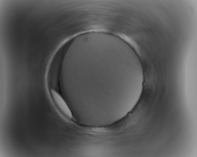 X0000089731383200707201832