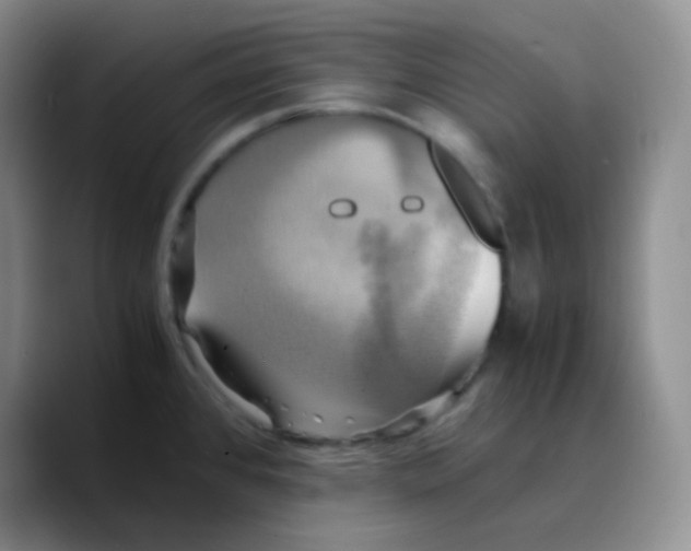 X0000089731384200707201832