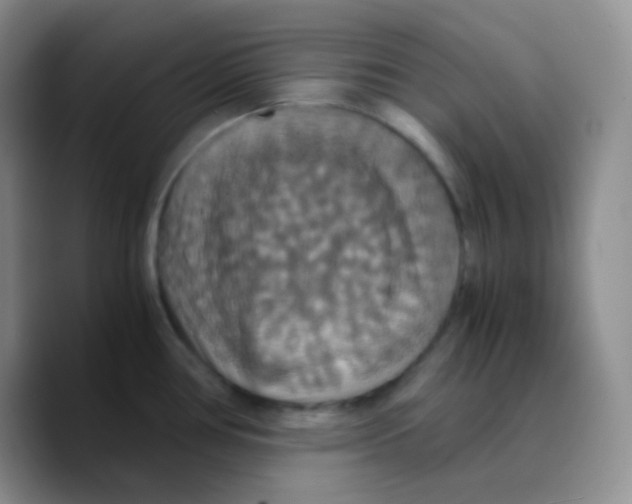 X0000089731386200707201832