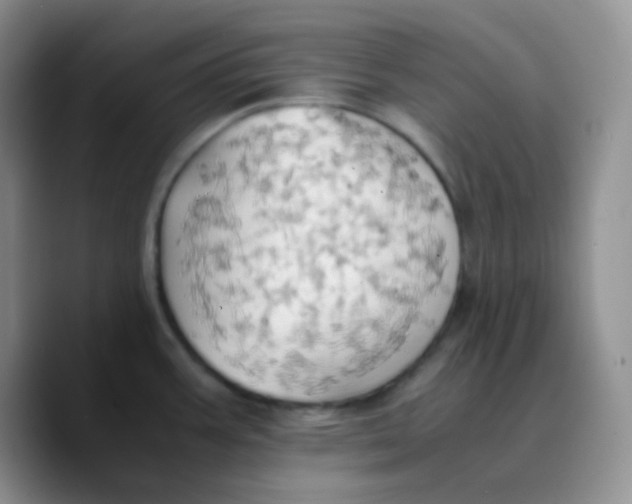 X0000089731387200707201832