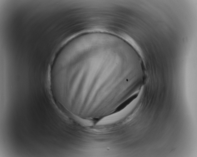 X0000089731388200707201832