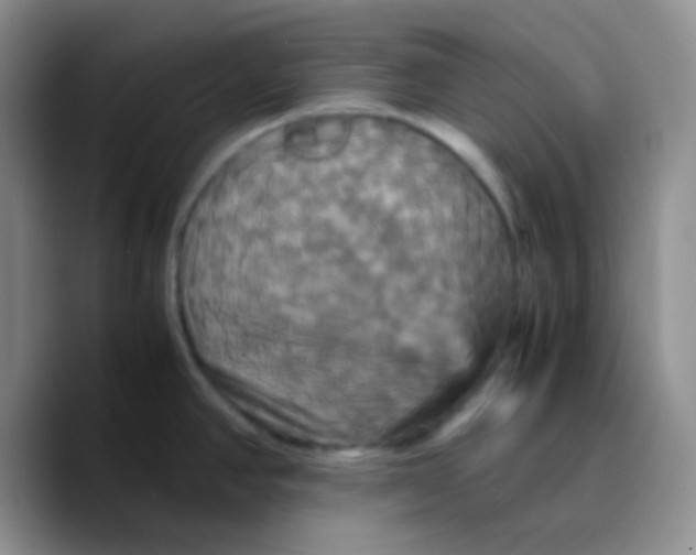 X0000089731390200707201832