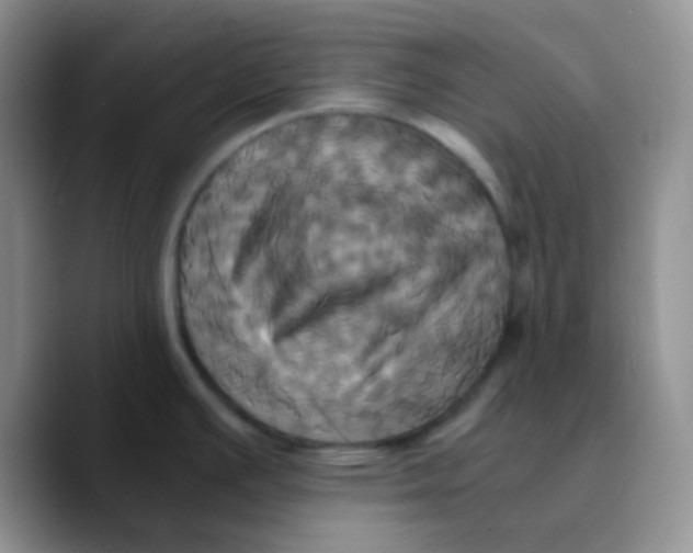 X0000089731391200707201832