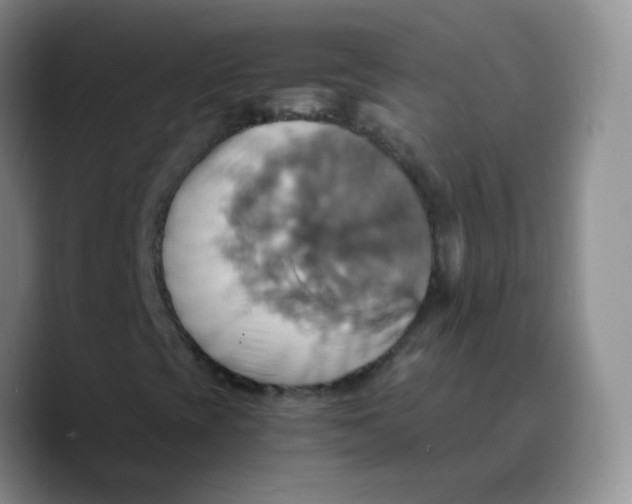 X0000089731393200707201831