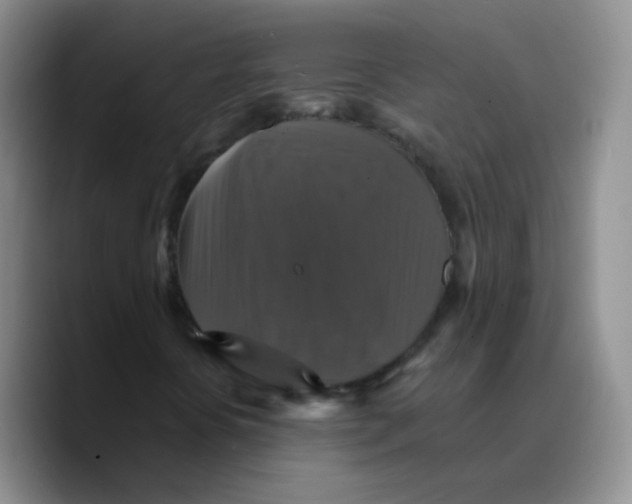 X0000089731394200707201831