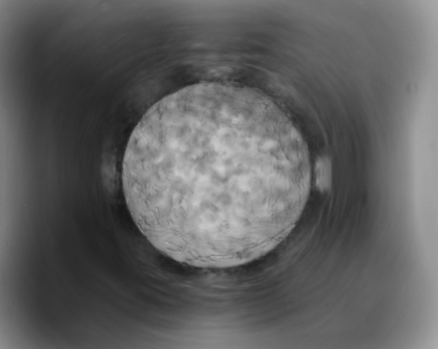 X0000089731395200707201831