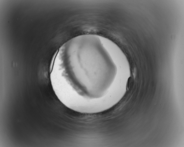 X0000089731396200707201831
