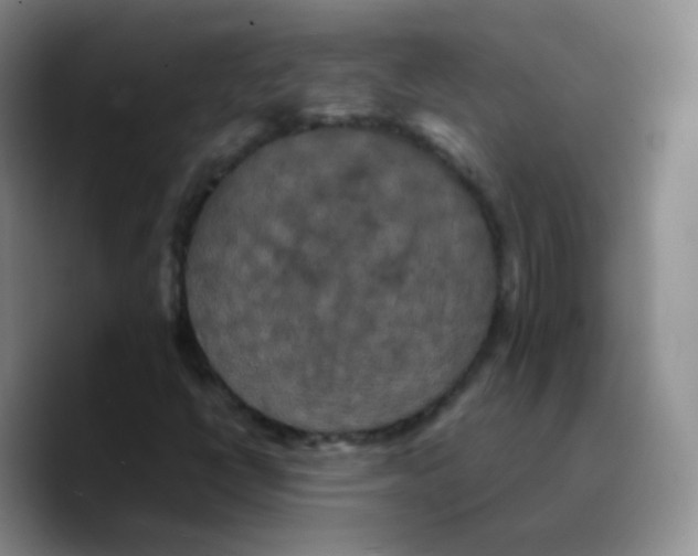 X0000089731398200707201831