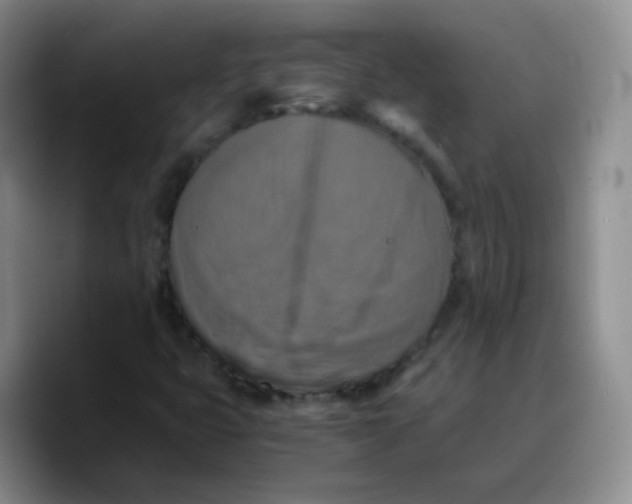 X0000089731399200707201831