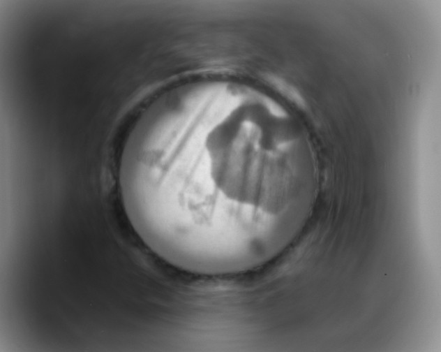X0000089731400200707201831