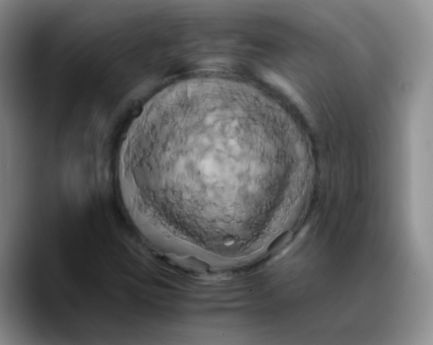 X0000089731403200707201831