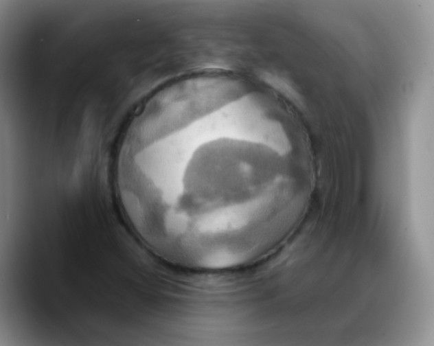 X0000089731404200707201831