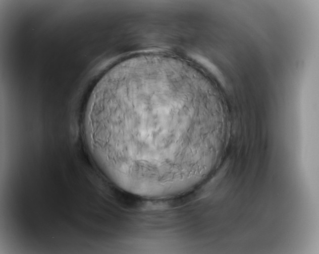 X0000089731407200707201831