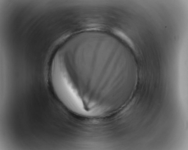 X0000089731411200707201832