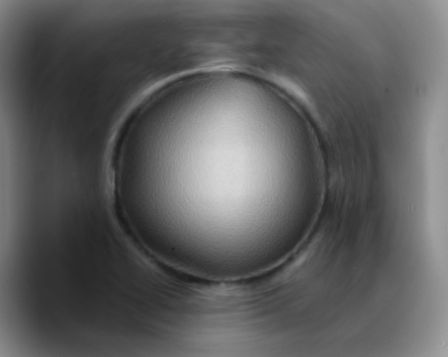 X0000089731414200707201832