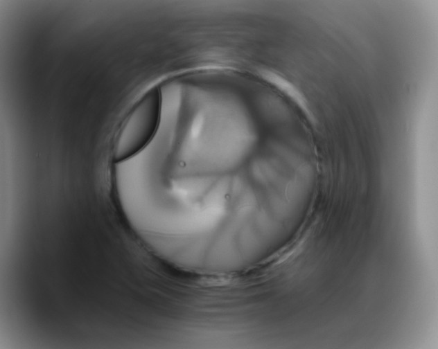 X0000089731415200707201832