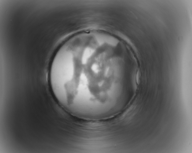 X0000089731416200707201832