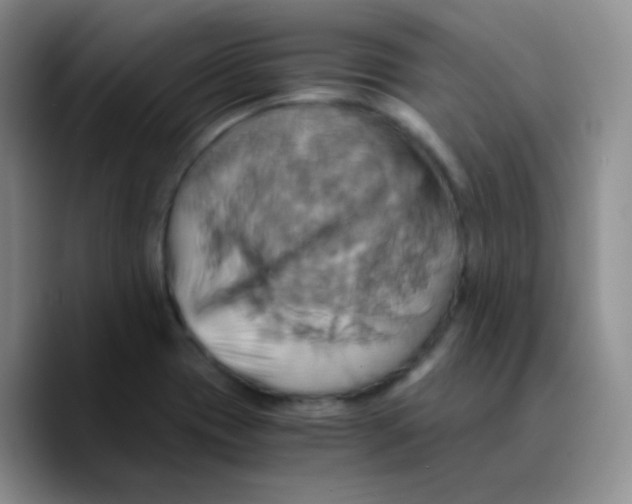 X0000089731417200707201832