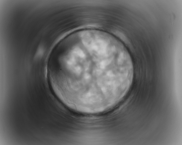 X0000089731420200707201832
