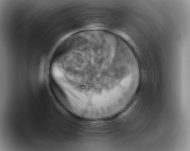 X0000089731421200707201832
