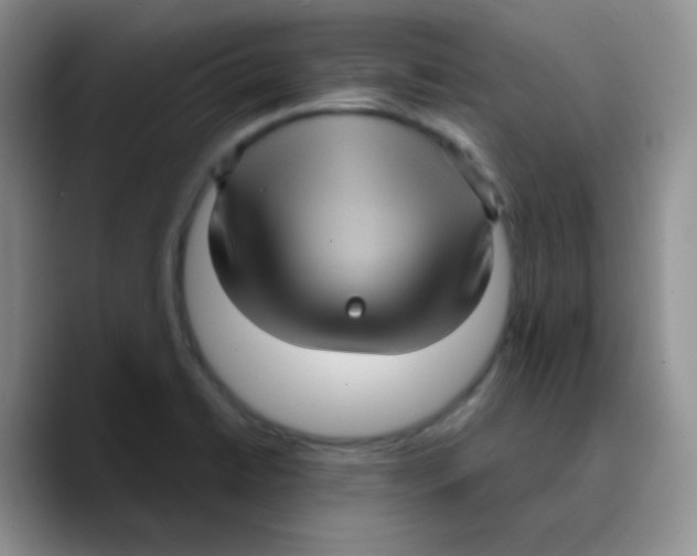 X0000089731422200707201832