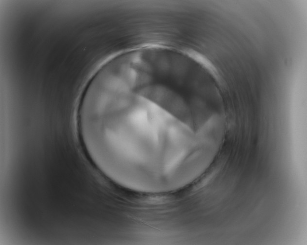 X0000089731423200707201832