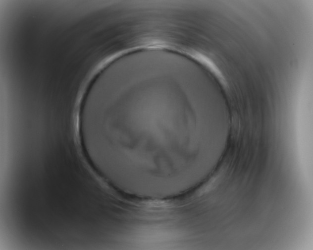 X0000089731424200707201832