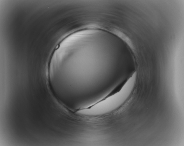 X0000089731428200707201832