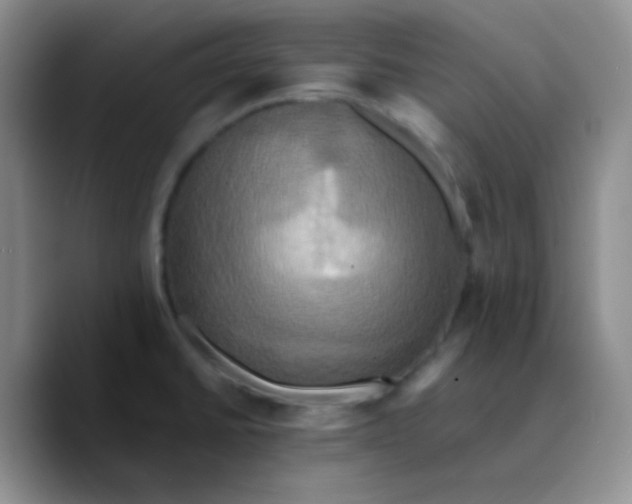 X0000089731430200707201832