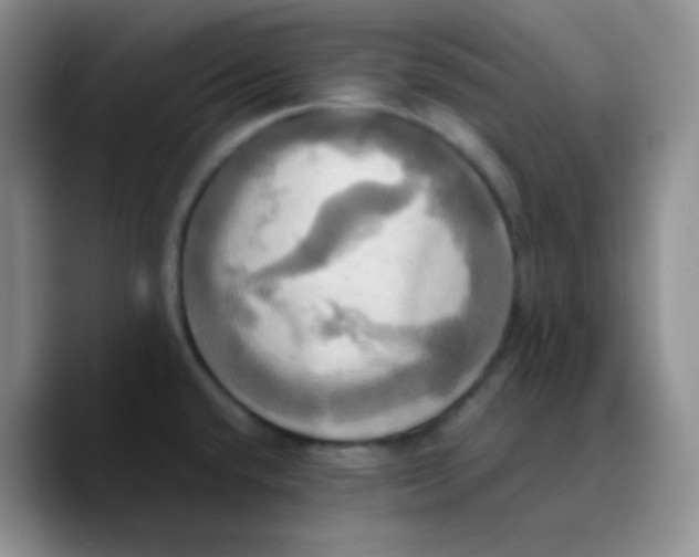 X0000089731432200707201832