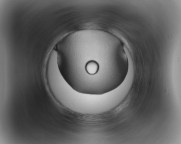 X0000089731434200707201832