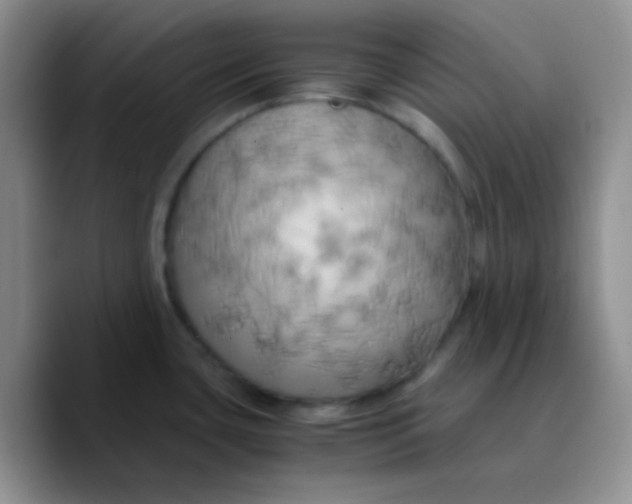 X0000089731435200707201832