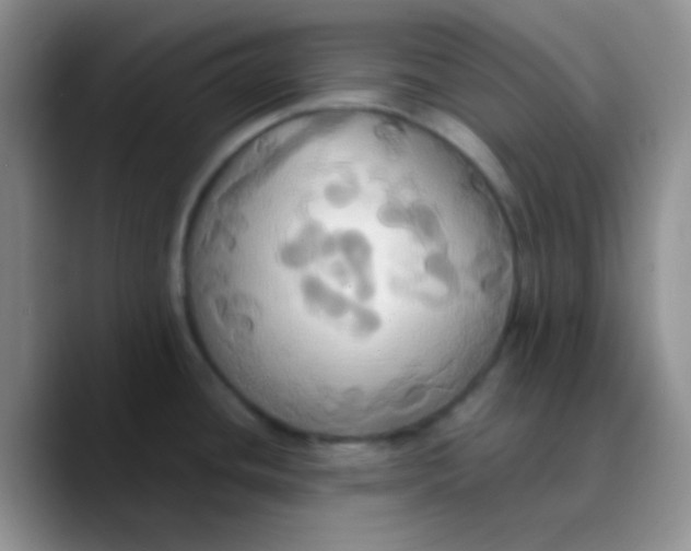 X0000089731436200707201832