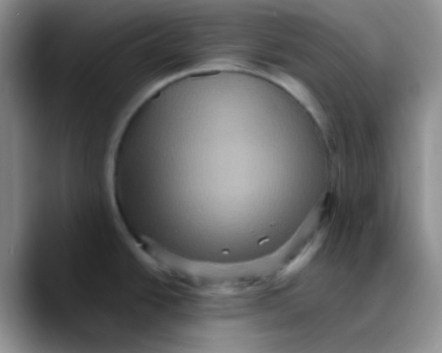 X0000089731438200707201832