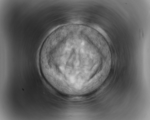 X0000089731439200707201832
