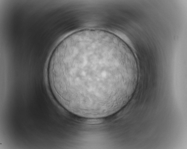 X0000089731440200707201832