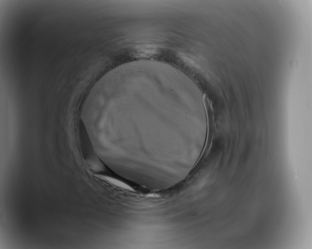 X0000089731441200707201831