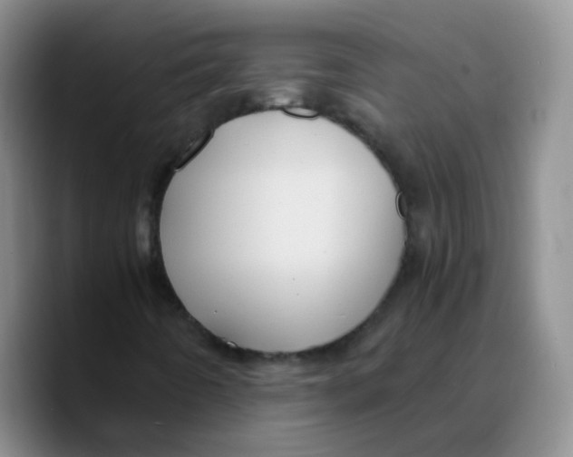 X0000089731442200707201831