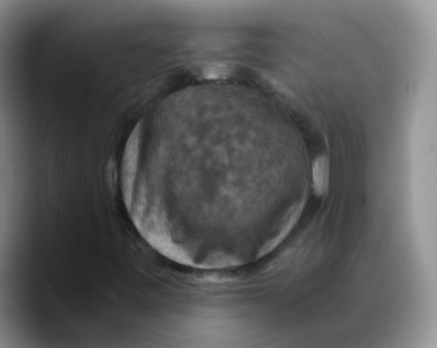 X0000089731443200707201831