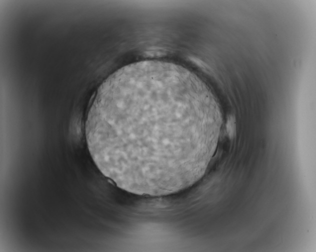 X0000089731444200707201831