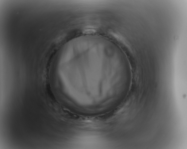 X0000089731445200707201831