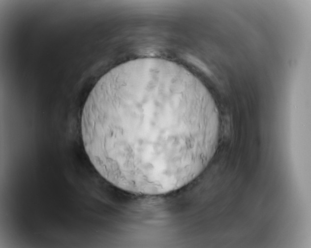 X0000089731446200707201831