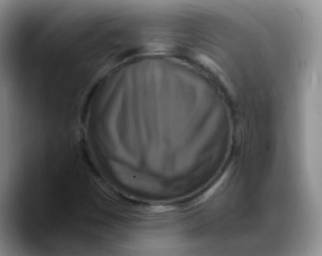 X0000089731449200707201831